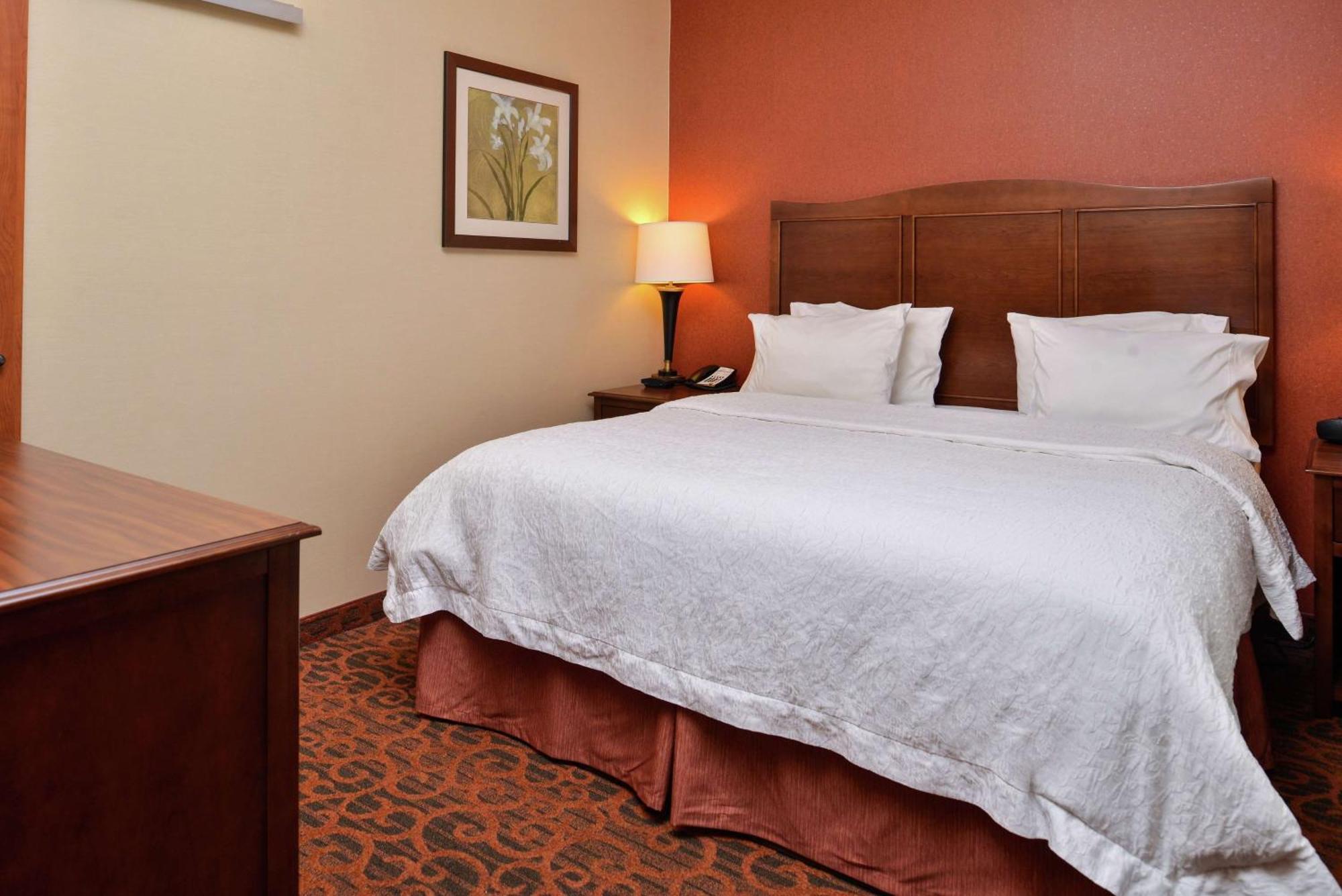 Hampton Inn Idaho Falls / Airport Zewnętrze zdjęcie
