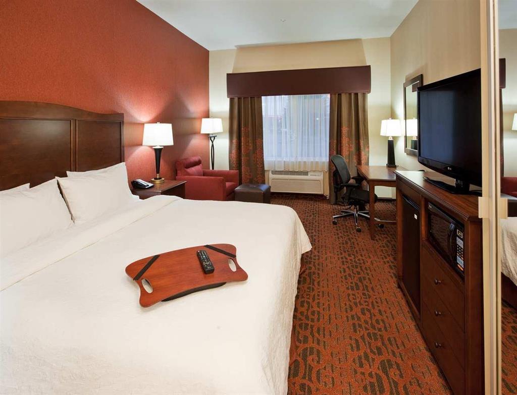 Hampton Inn Idaho Falls / Airport Pokój zdjęcie